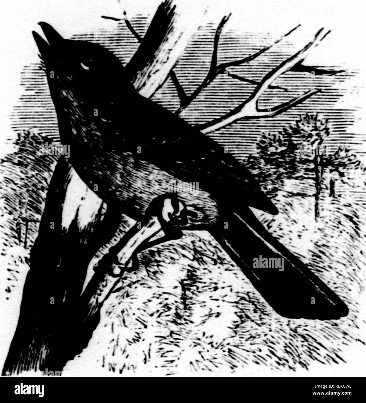 Biog Black and White Stock Photos & Images - Alamy
