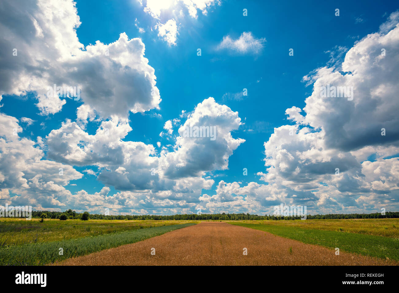 Summer rural landscape. Wheat field with blue sky and beautiful clouds ...