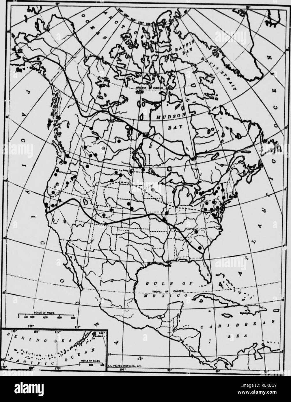 Life Histories Of Northern Animals Microform An Account Of The