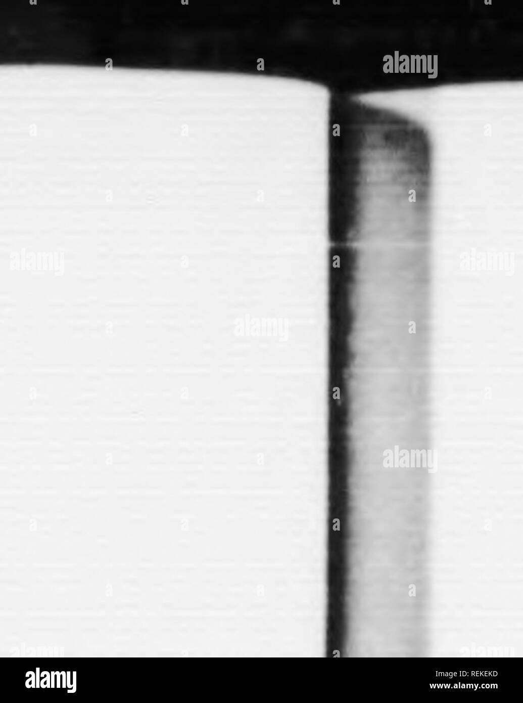. Denizens of the deep [microform]. Marine biology; Deep-sea animals ...