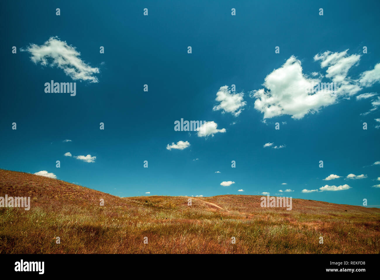 Desert landscape. Hills with dry grass and blue sky Stock Photo - Alamy