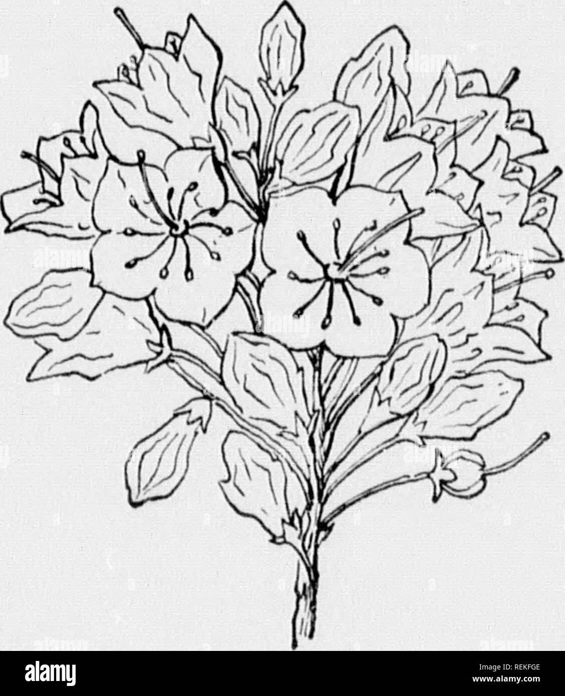 Page 2 A N Vv F C High Resolution Stock Photography And Images Alamy