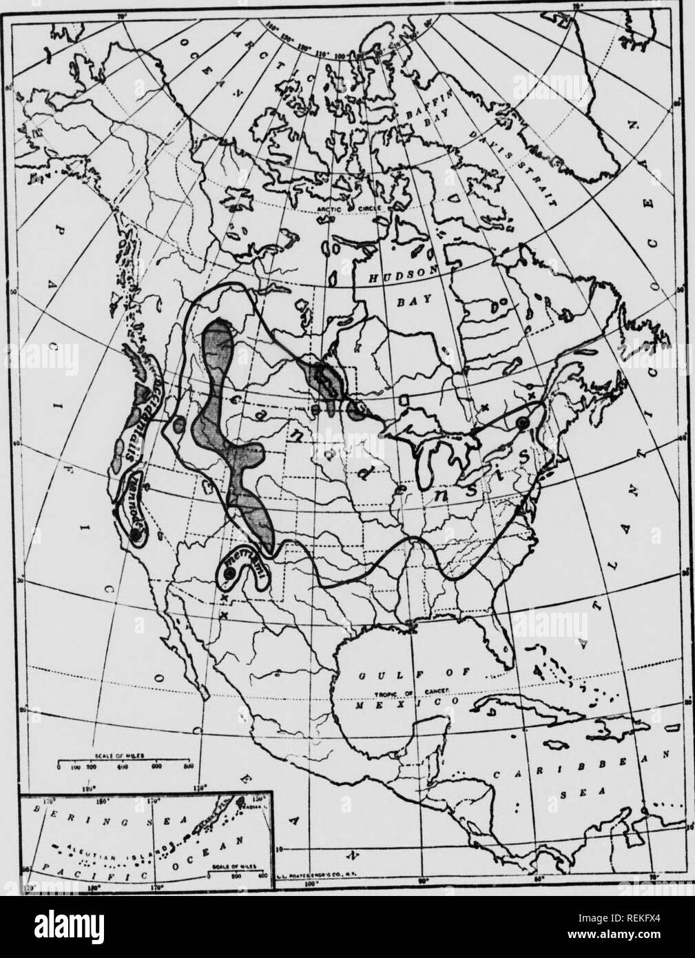 Map of wapiti hires stock photography and images Alamy