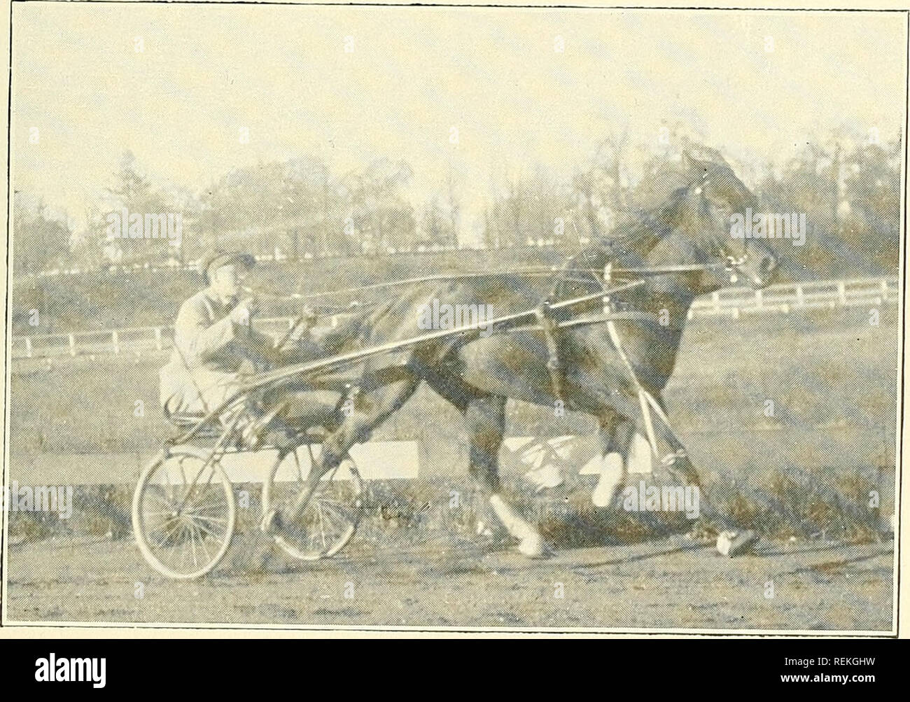. The driving clubs of greater Boston ... Horse racing; Horses. MARTHA G. (Matinee Record), 1:00 3-4 One of the Brilliant Matinee Trotters of 1914 at Charles River Speedway. Owned and Driven by John W. Ellis. MISS ZOMBRO (by Zombro) Dam, Miss Cains, Half-Sister of Sterling McKinney, 2:06 1-4. V. C. Bruce Wetmore Owned and Driven by. Please note that these images are extracted from scanned page images that may have been digitally enhanced for readability - coloration and appearance of these illustrations may not perfectly resemble the original work.. Linnehan, John William, 1860-, ed; Cogswell, Stock Photo