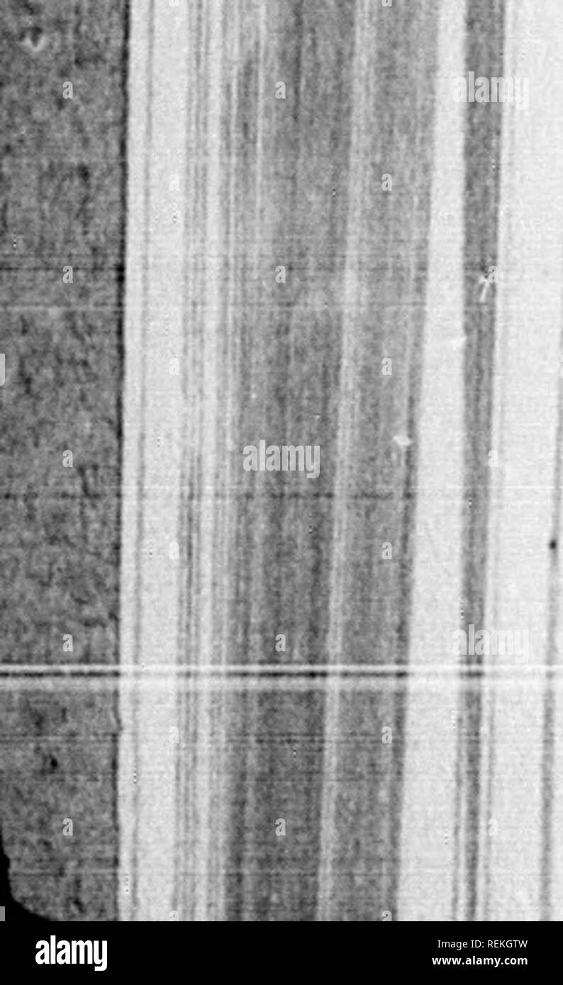 O Avo High Resolution Stock Photography And Images Alamy