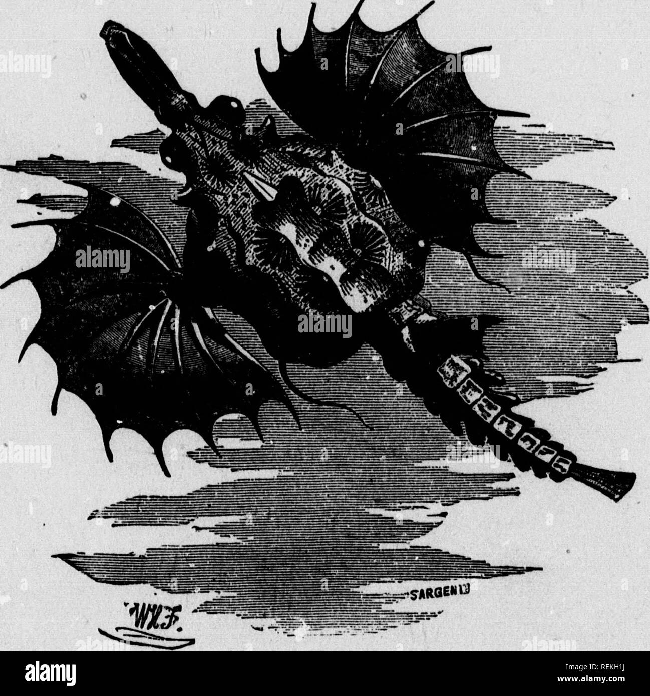 . Sea and land [microform] : an illustrated history of the wonderful and curious things of nature existing before and since the deluge ... : being a natural history of the sea illustrated by stirring adventures with whales ... : also a natural history of land-creatures such as lions, ... : to which is appended a description of the cannibals and wild races of the world, their customs, habits, ferocity and curious ways. Zoology; Natural history; Zoologie; Sciences naturelles. 108 SEA AND LAND. Uglier creature ciiii scarcely be conceived. The head is disproportion- ately large, the mouth very wid Stock Photo