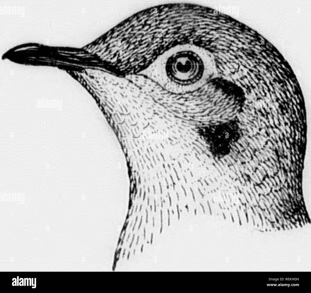 Page 4 L Toi High Resolution Stock Photography And Images Alamy