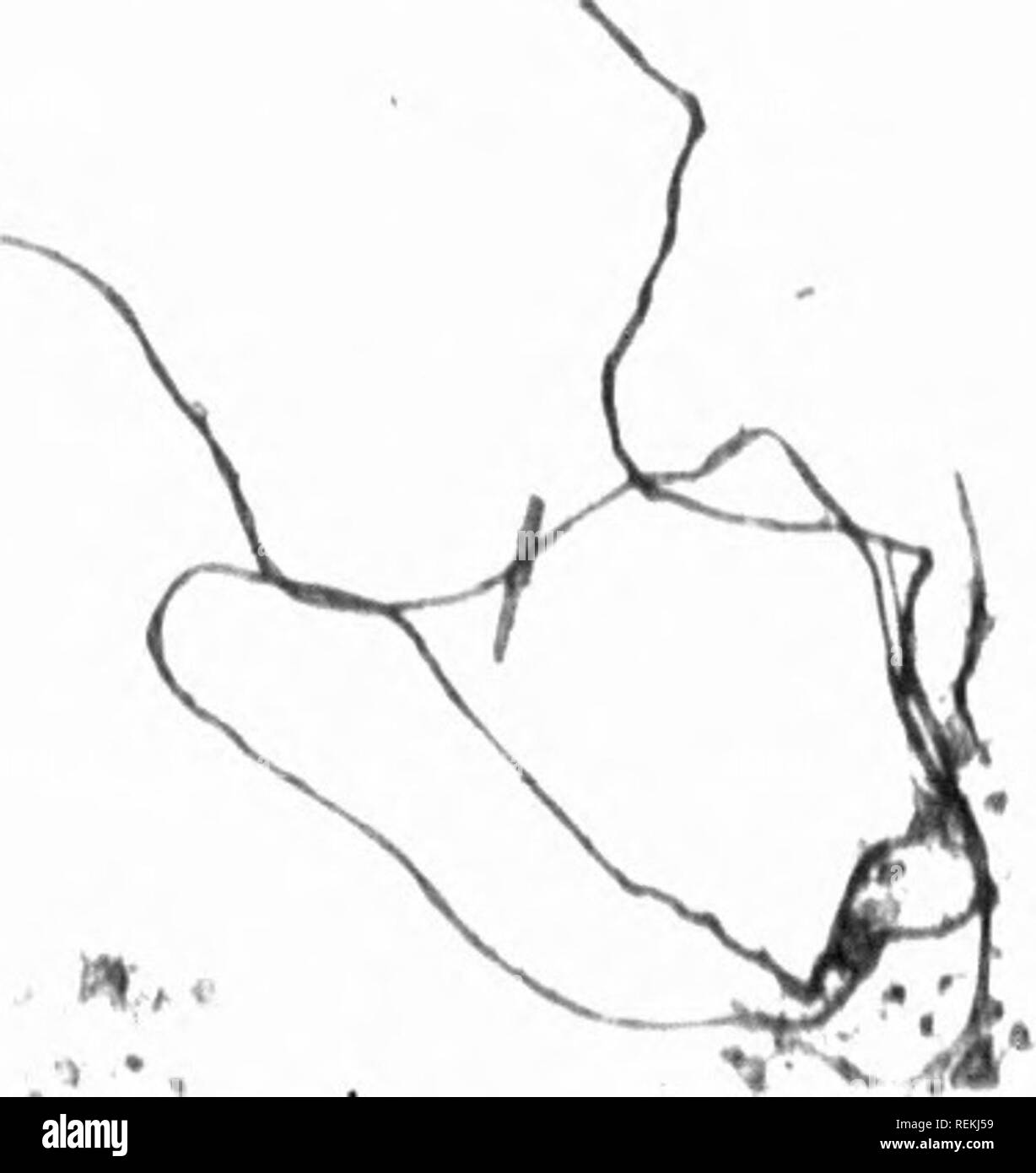 American medical association chicago Cut Out Stock Images & Pictures Alamy