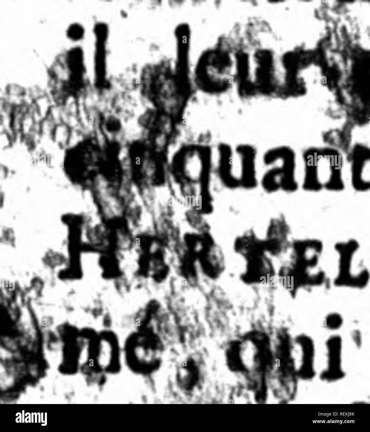 Digitalis Black and White Stock Photos & Images Alamy