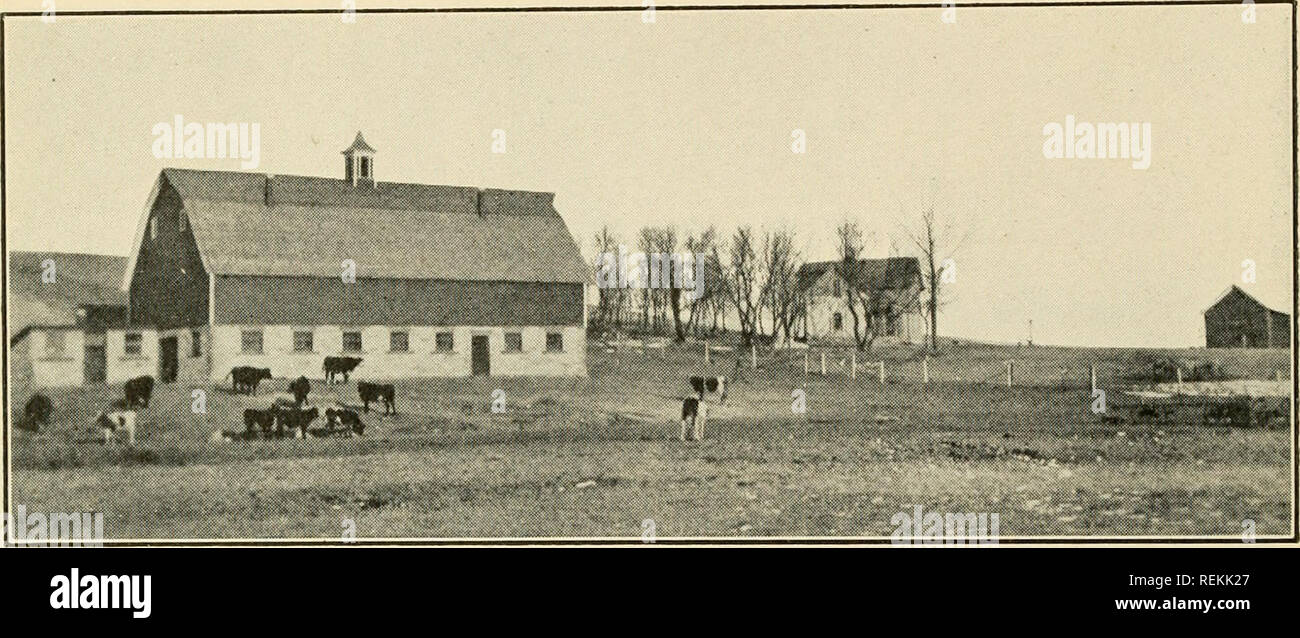 Potato cellars hires stock photography and images Alamy