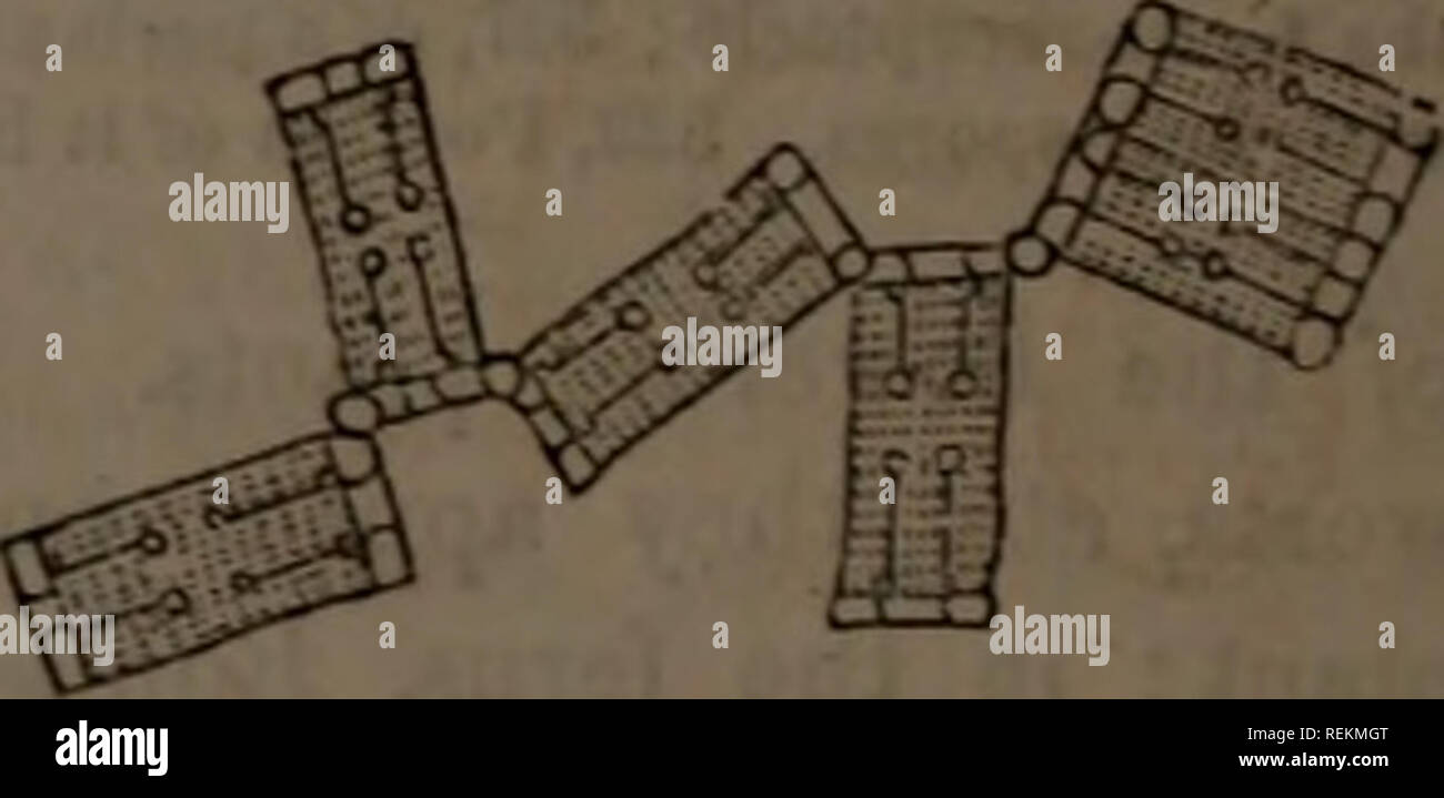 Transverse threads hi-res stock photography and images - Alamy