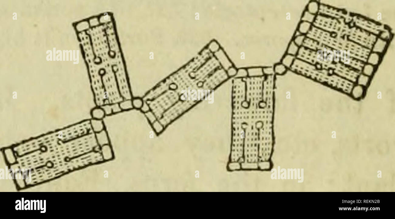 Transverse threads hi-res stock photography and images - Alamy