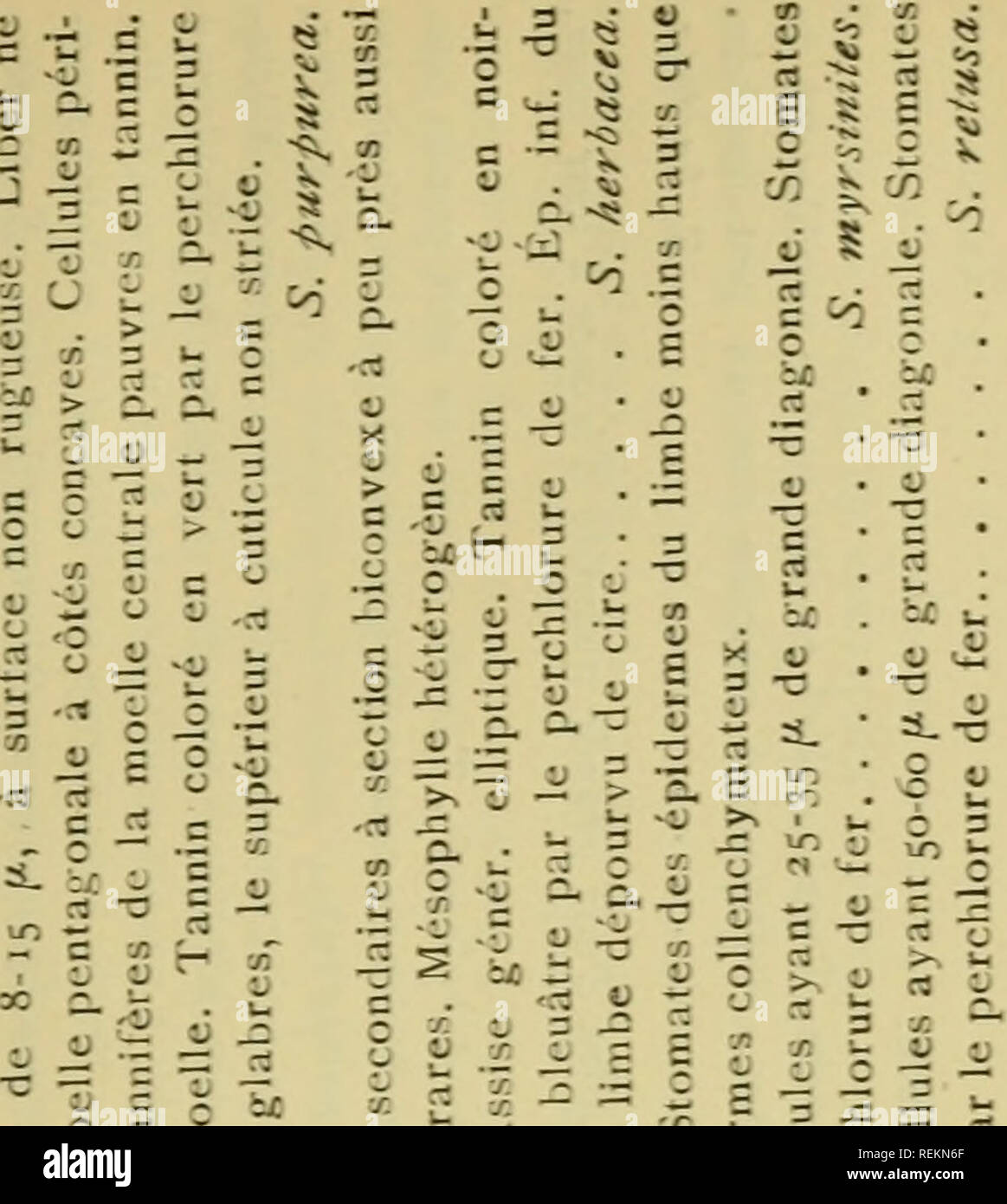 Page 10 Ba Si High Resolution Stock Photography And Images Alamy