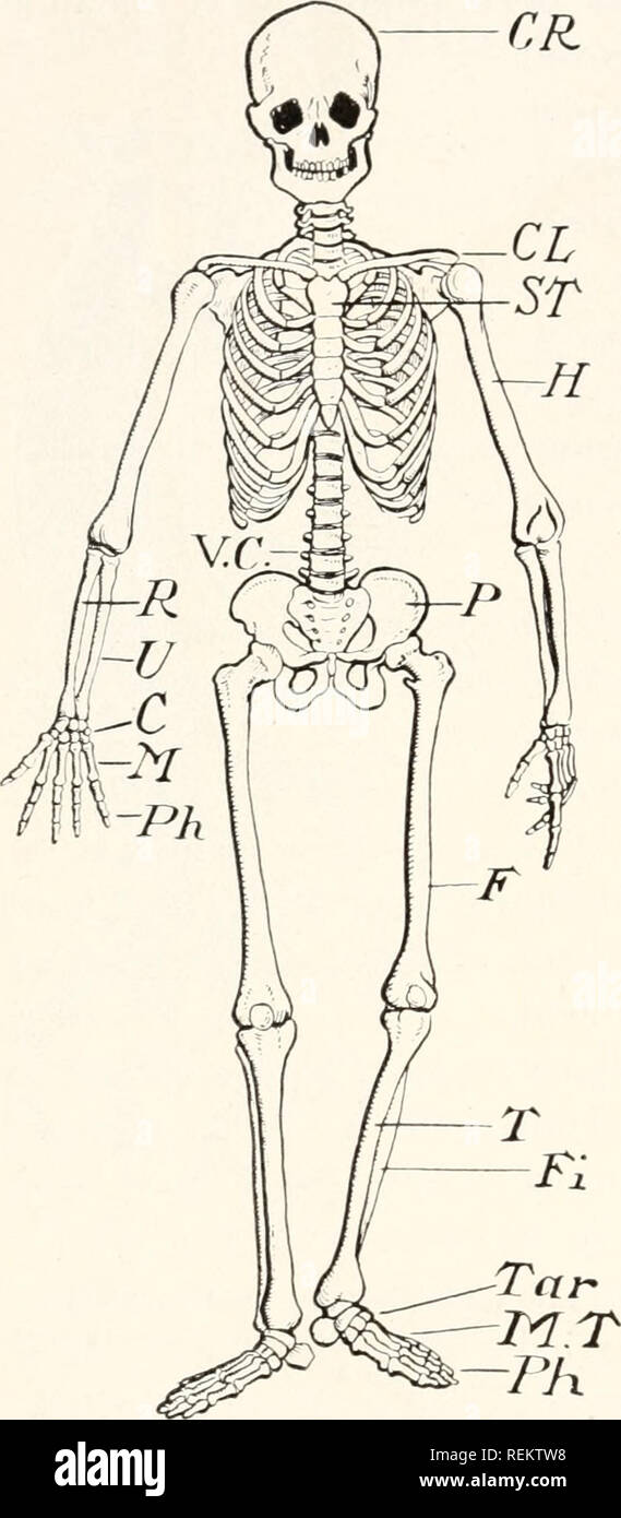 . A civic biology presented in problems. Biology; Sanitation. L'liS