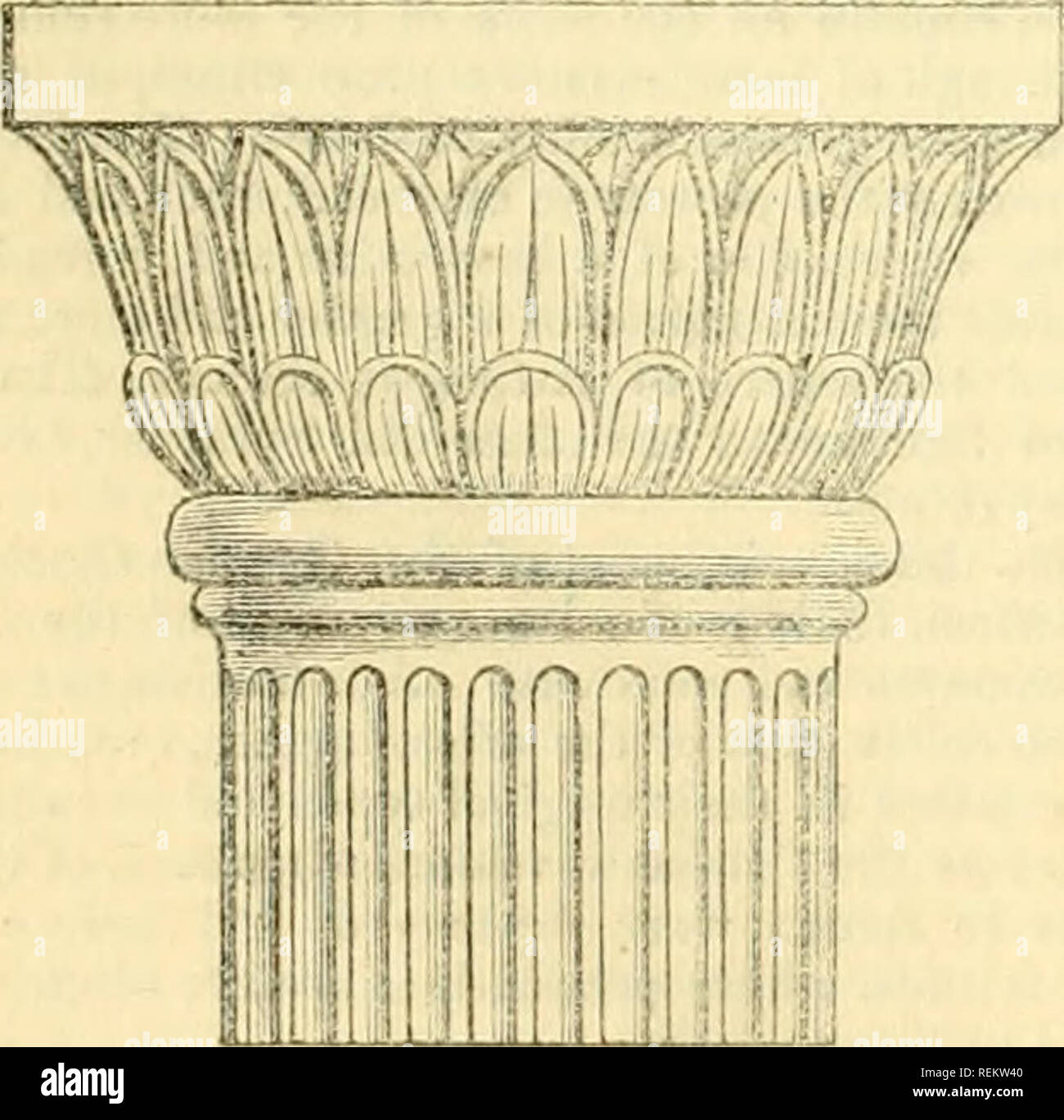The Civil Engineer And Architect S Journal Scientific And Railway Gazette Architecture Civil Engineering Science The Example Will Admit Of The Abacus And Zocco Being Made Either Circular Or Square Thus Differing In Avolution abacus is a highly flexible tool for enterprise architecture modelling and for analysing the the main features of abacus that gives it a competitive advantage includes: alamy