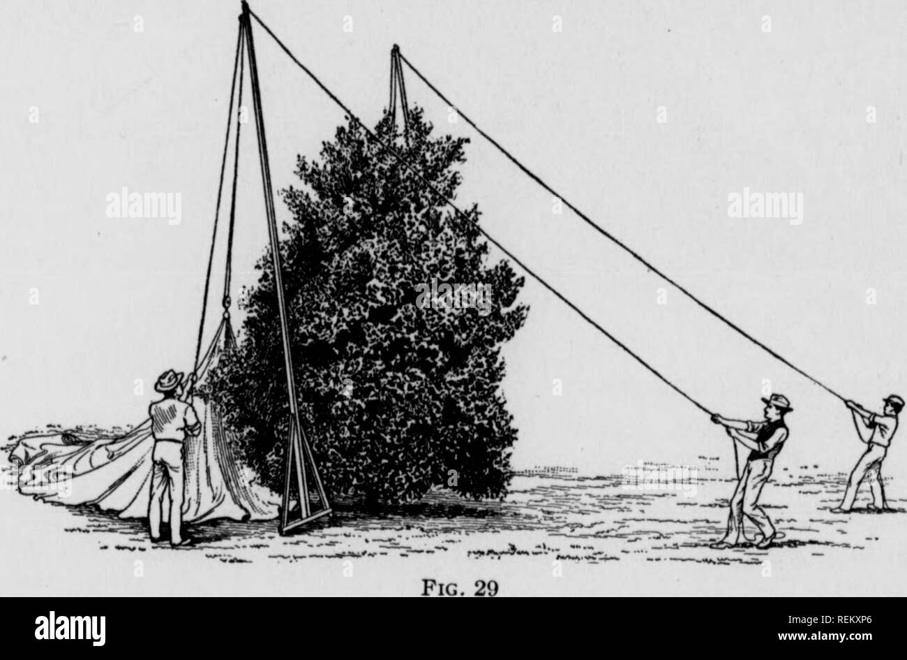 Guy ropes Black and White Stock Photos & Images - Alamy