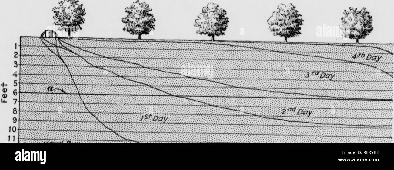 furrow irrigation diagram