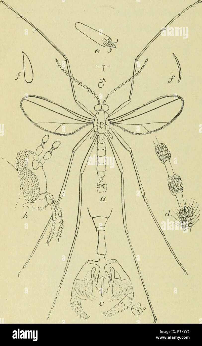 Clasping organs hi-res stock photography and images - Alamy