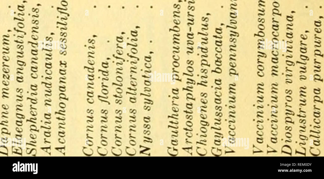 Css 13 High Resolution Stock Photography And Images Alamy