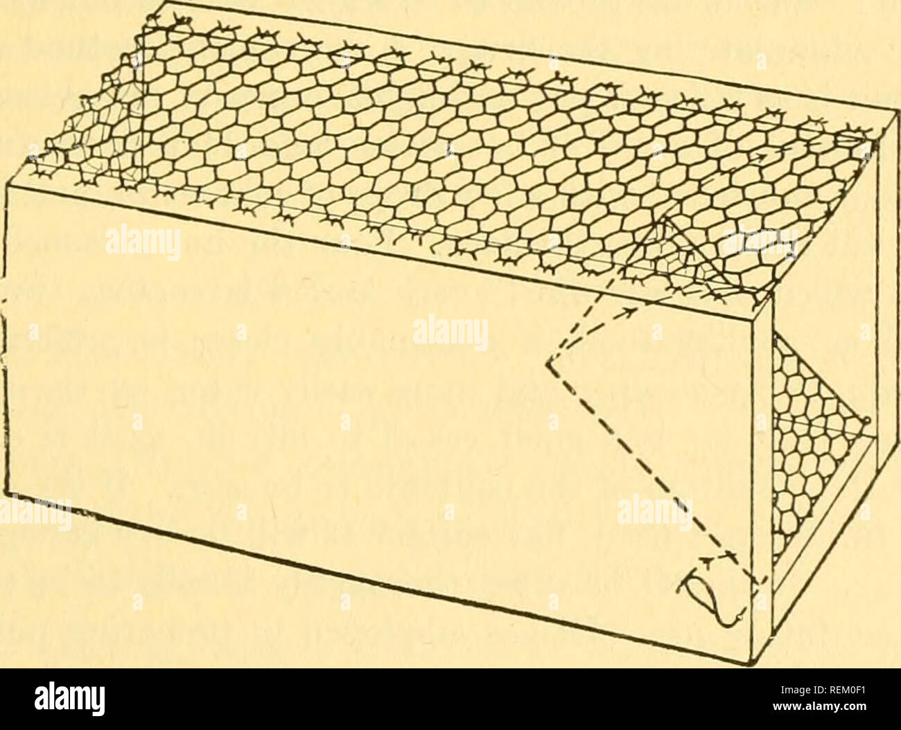 Circular Agriculture Gt Fig 8 Diagram For Cutting Out The Parts Of A Funnel Trap 48 By 24 By 15 Inches After Biological Survey Fig 9 Receiving Box For