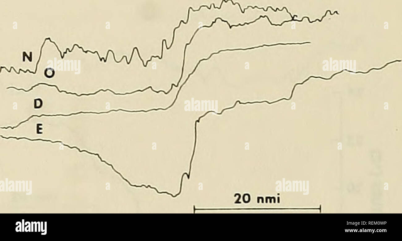 . Circulation and oceanographic properties in the Somali Basin as observed during the 1979 southwest monsoon. Oceanography; Ocean currents; Monsoons. y 25 I- S 23 22 Vv-'y^. Please note that these images are extracted from scanned page images that may have been digitally enhanced for readability - coloration and appearance of these illustrations may not perfectly resemble the original work.. Beatty, William H; Bruce, John G; Guthrie, Robert C; United States. Naval Oceanographic Office. St. Louis, Mississippi : Naval Oceanographic Office, NSTL Station Stock Photo