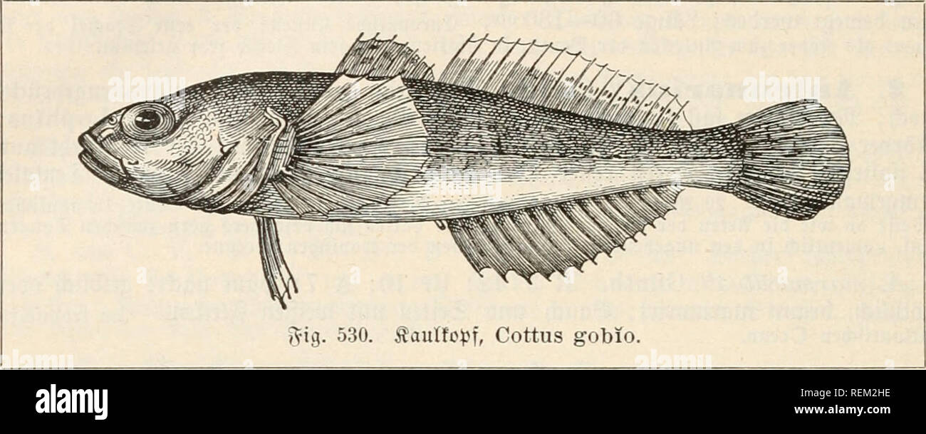 Johannes mol hires stock photography and images Alamy