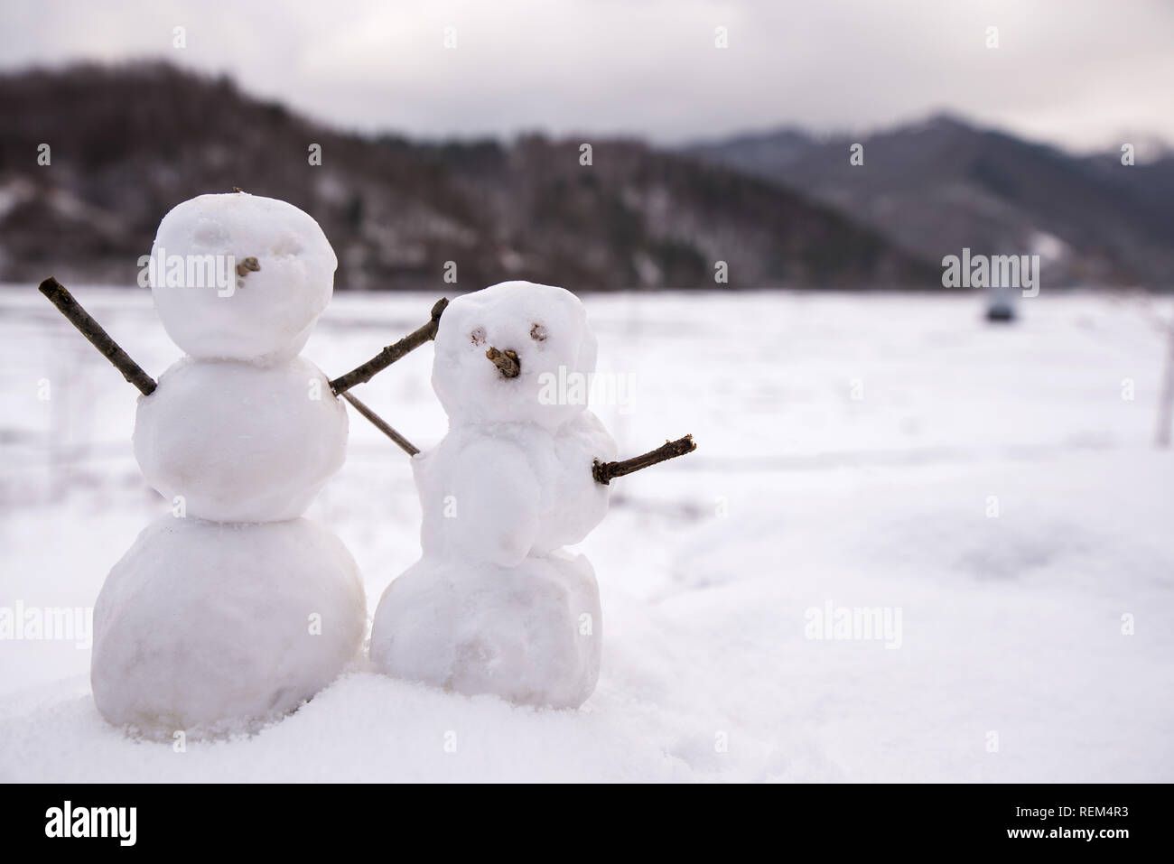 Real Snowman High Resolution Stock Photography And Images Alamy