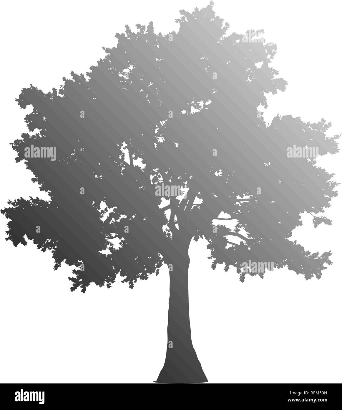 Tree profile silhouette isolated - medium gray gradient detailed ...