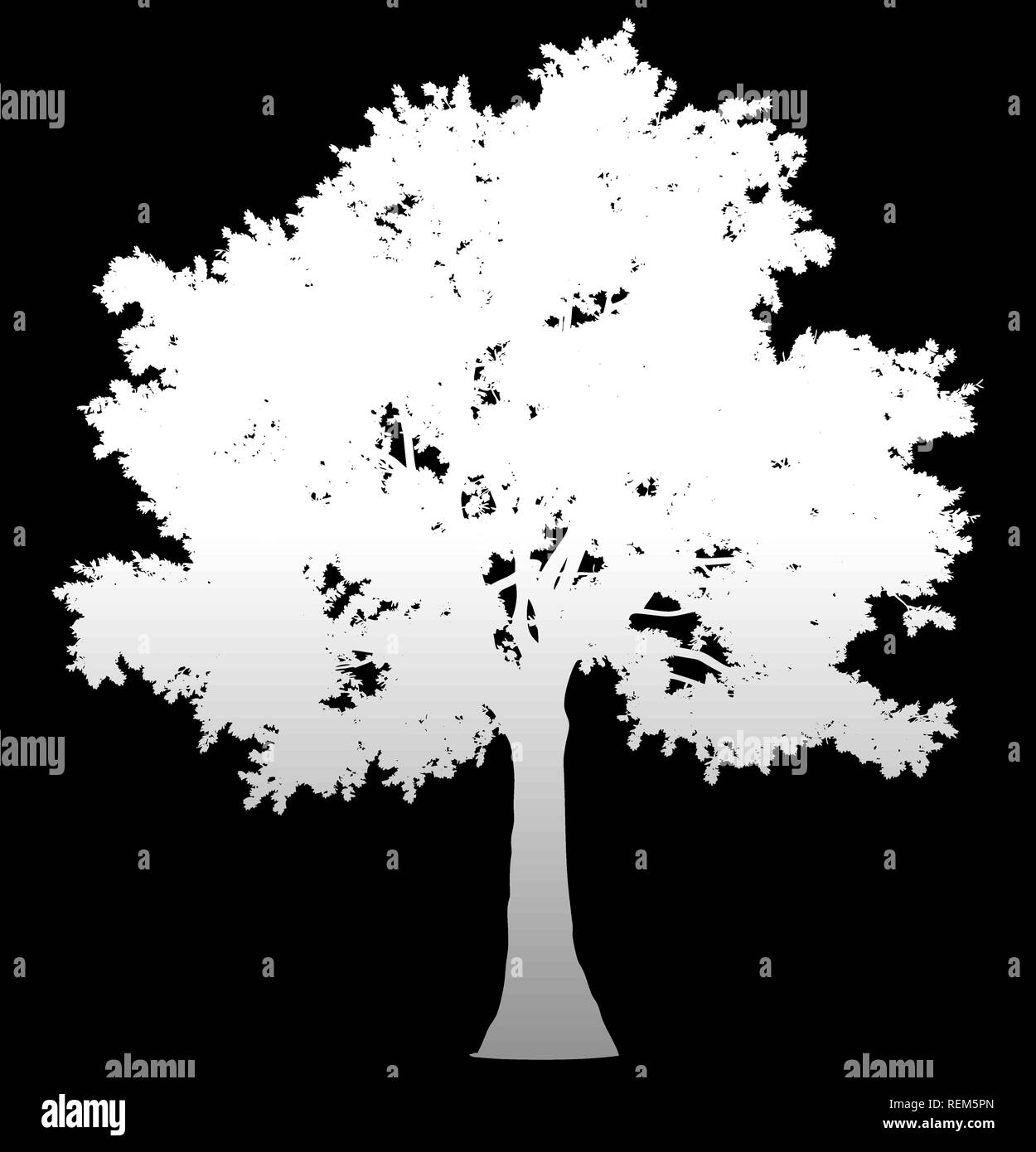 Tree profile silhouette isolated - white gradient detailed - vector ...
