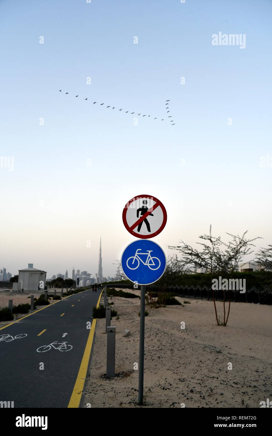 nad al sheba bike track