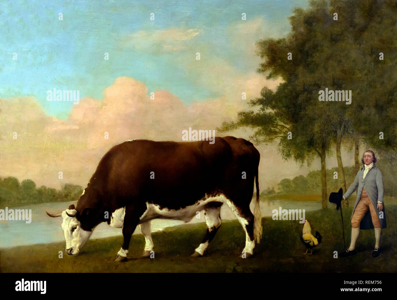 The Lincolnshire Ox, George Stubbs, 1790, Stock Photo