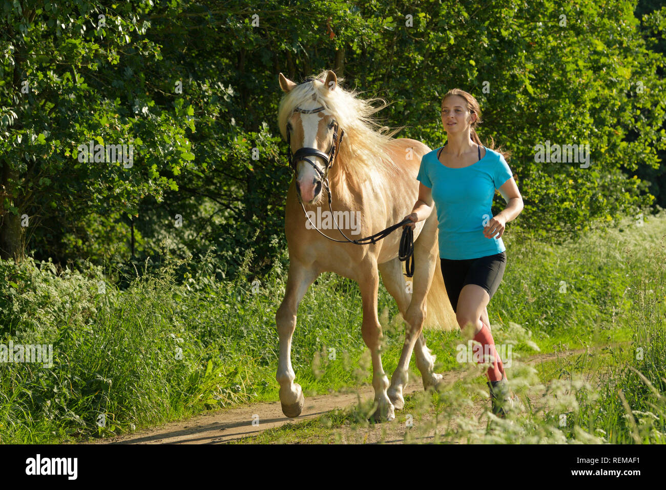 Horse stock photography and - Alamy