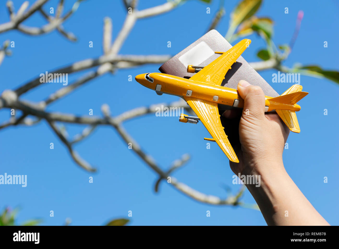Traveling concept. A woman's hand holding a passport and a plane model. Travel by plane for speed and convenience. The background is the branches and  Stock Photo