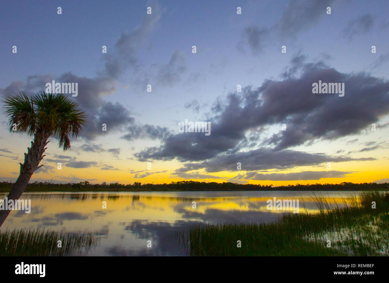 George Pierce Park High Resolution Stock Photography and Images - Alamy