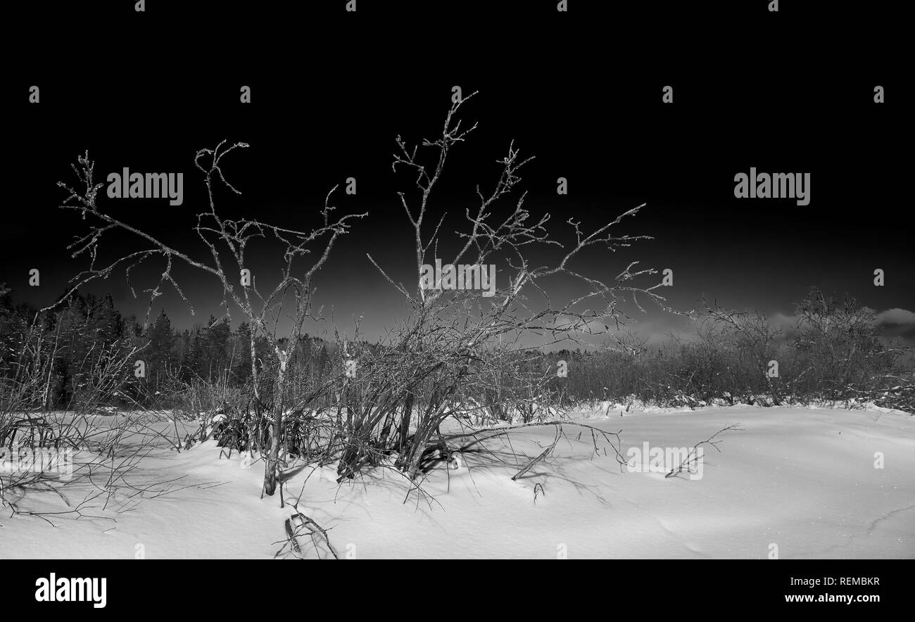 Black and white winter landscape with black sky Stock Photo - Alamy