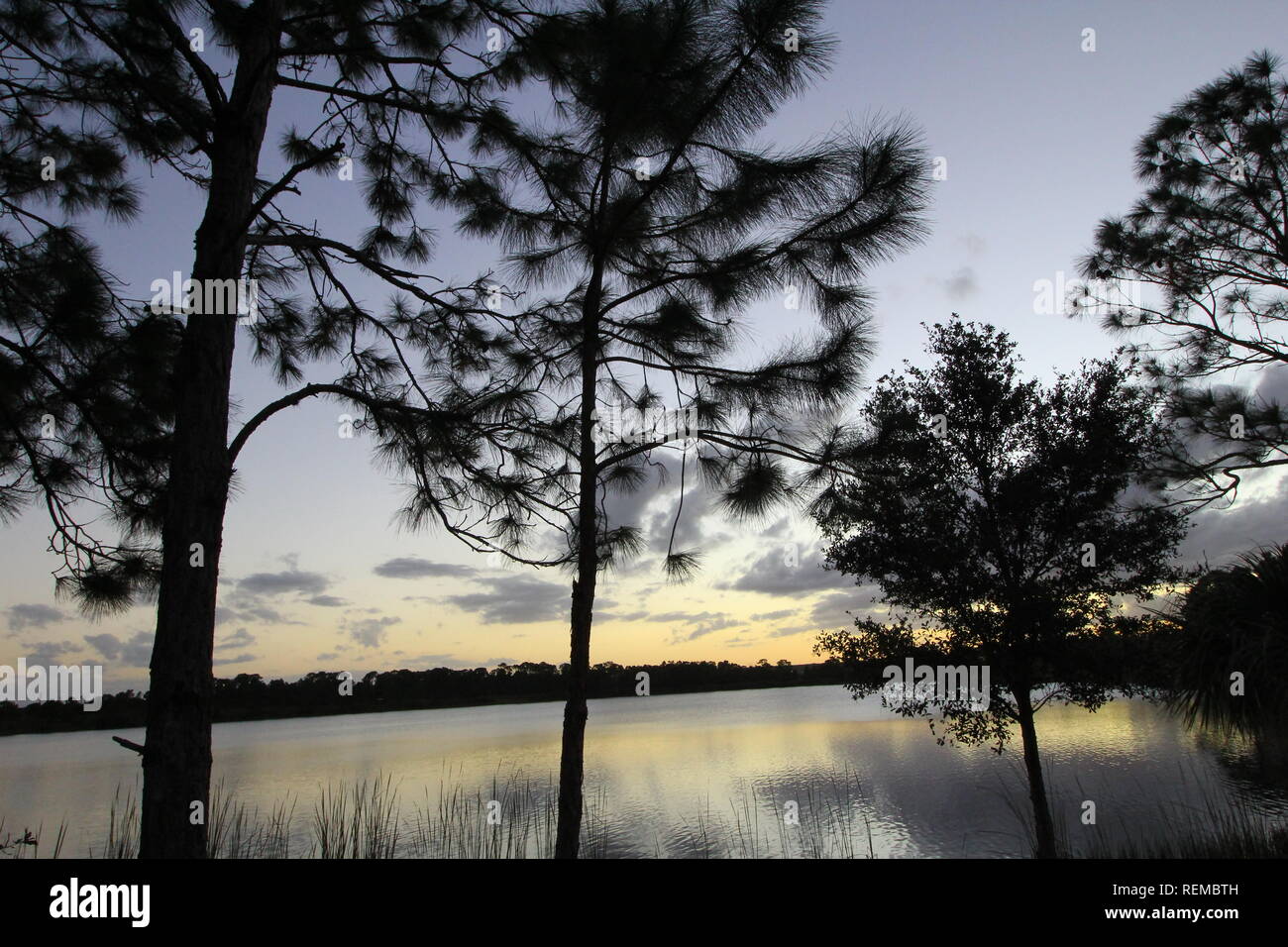 George Pierce Park High Resolution Stock Photography and Images - Alamy