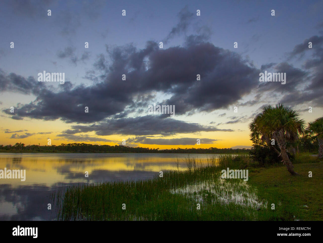 George Pierce Park High Resolution Stock Photography and Images - Alamy
