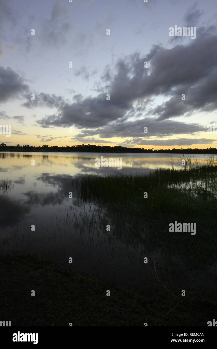 George Pierce Park High Resolution Stock Photography and Images - Alamy