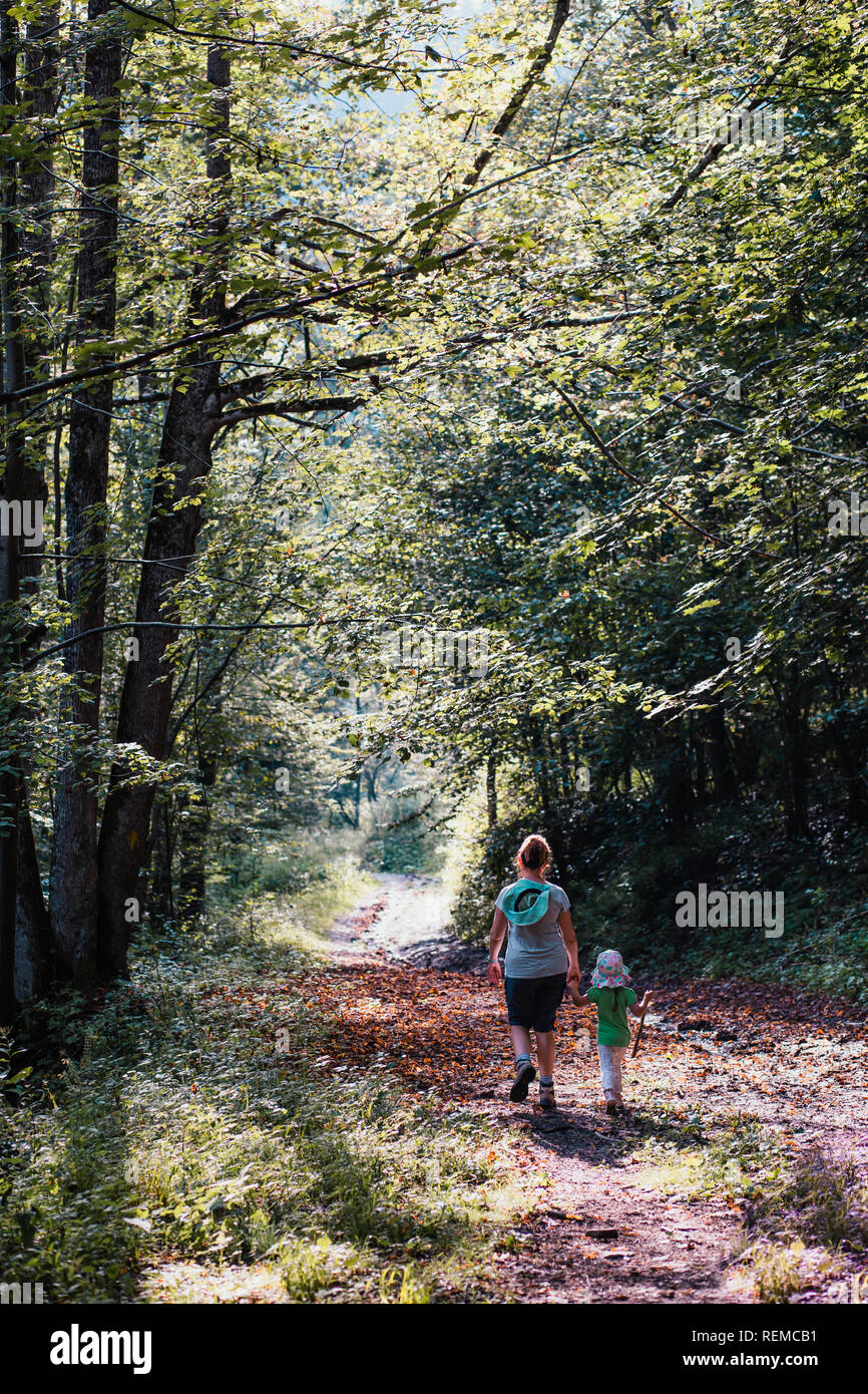 Family walking through the forest. Spending vacation on wandering in forests Stock Photo