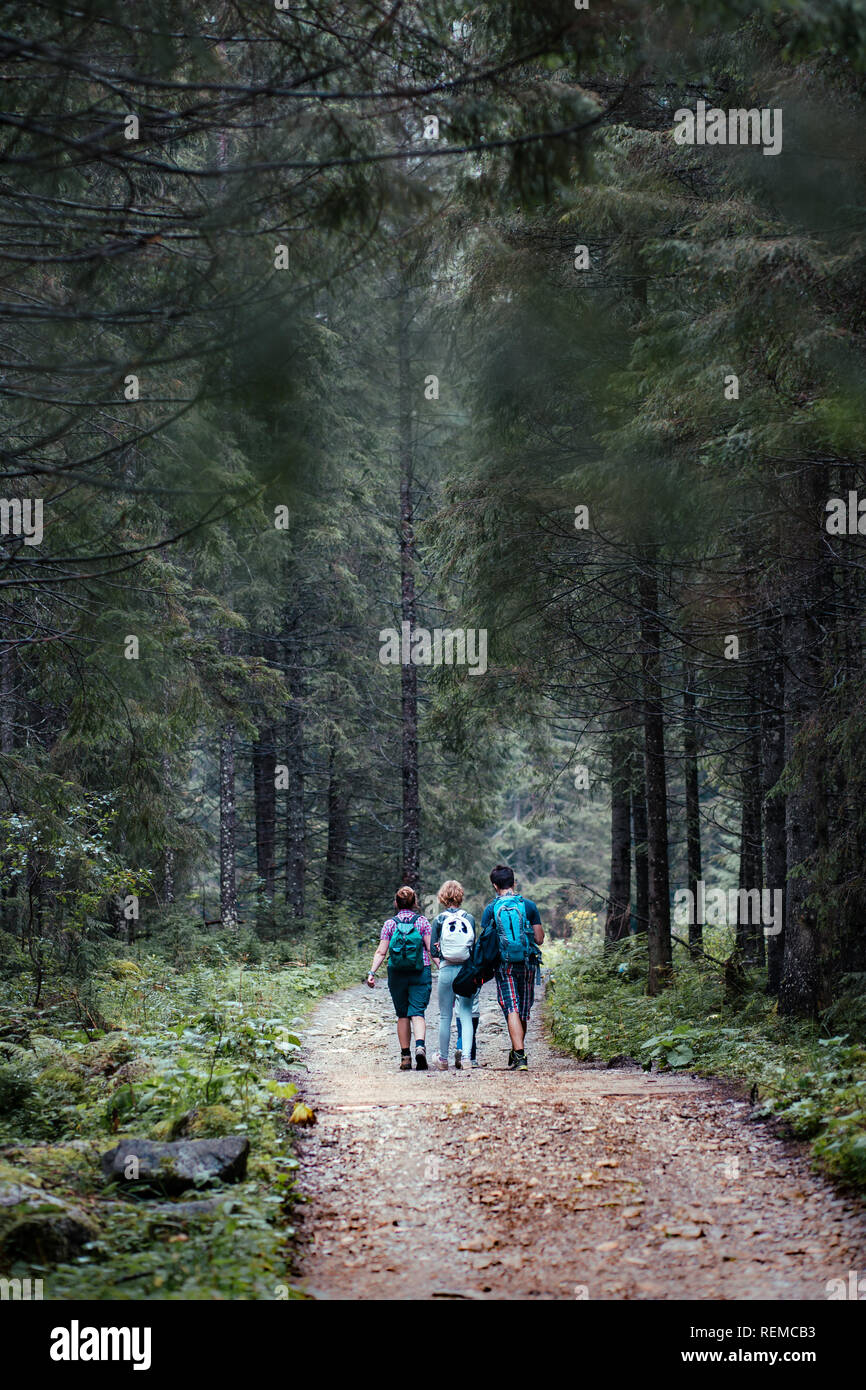 Family walking through the forest. Spending vacation on wandering with backpacks in forests Stock Photo