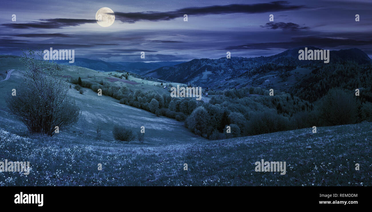 Moon Light Countryside panorama of countryside in mountain at night in full moon light ...