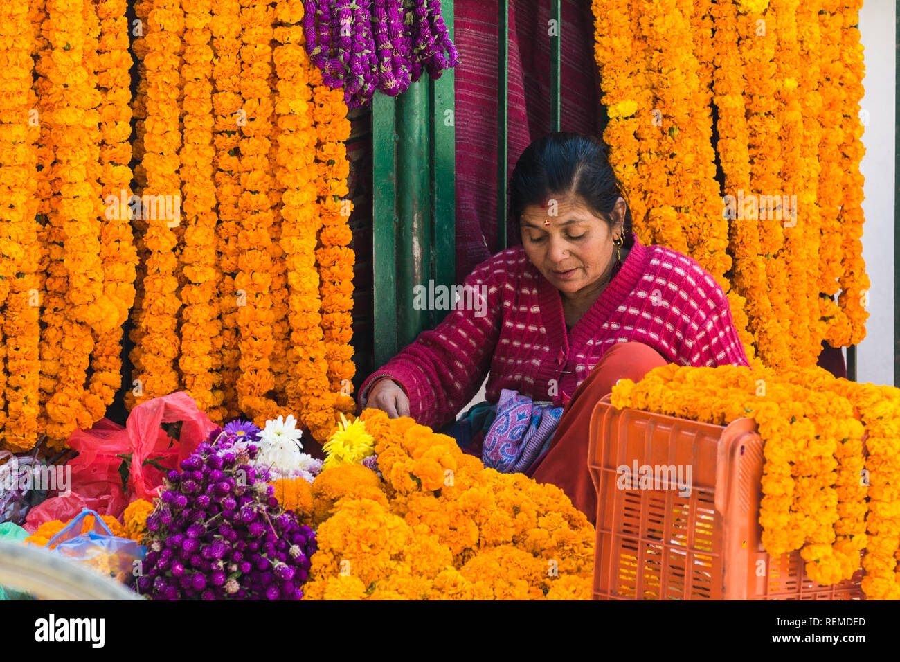 Local woman selling marigold flowers (sayapatri) during Tihar, Kathmandu, Nepal Stock Photo