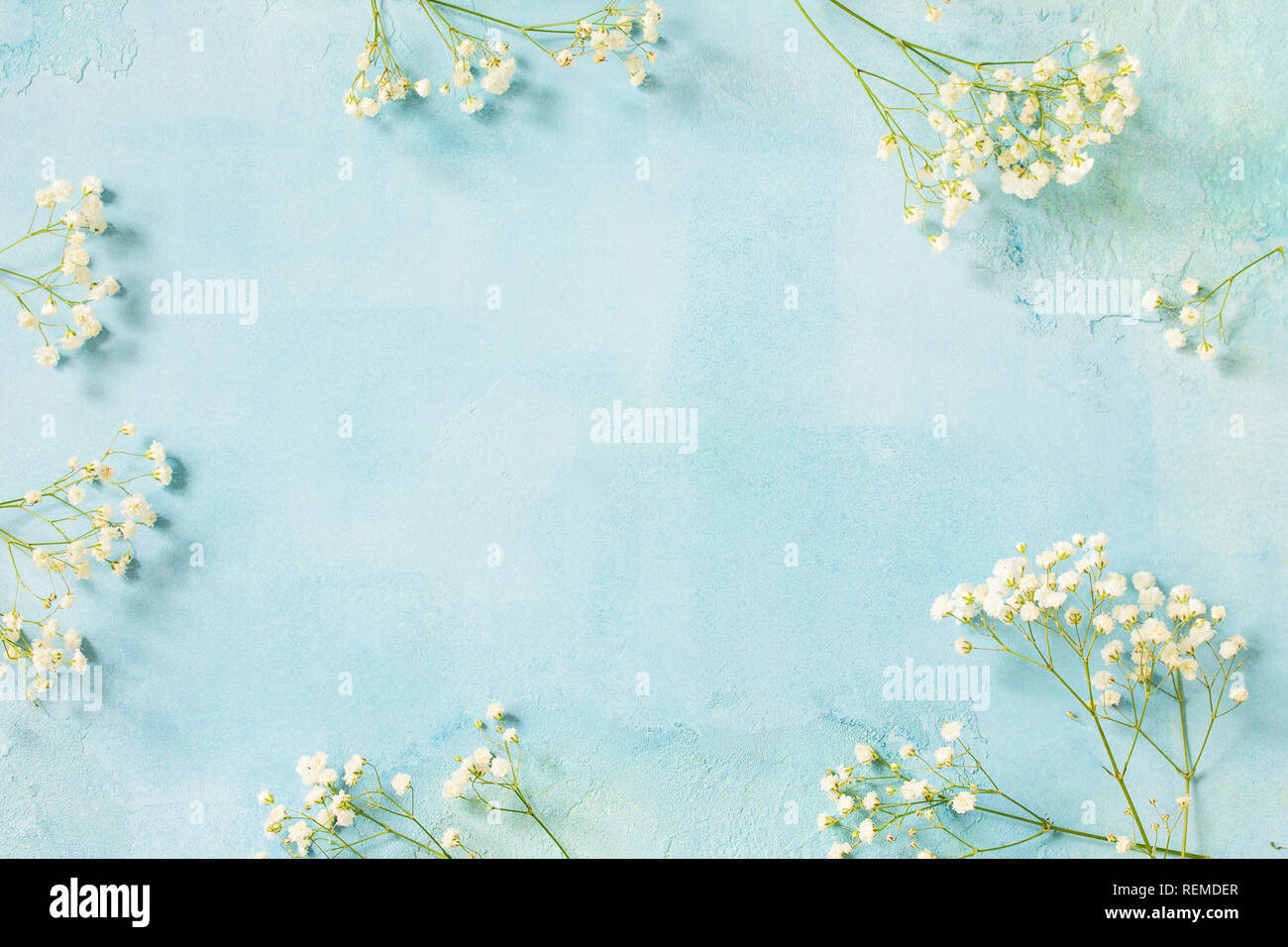 Easter background with spring flowers. Top view flat lay background with. Stock Photo