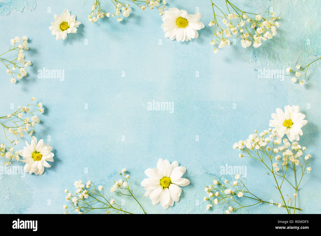 Easter background with spring flowers. Top view flat lay background ...