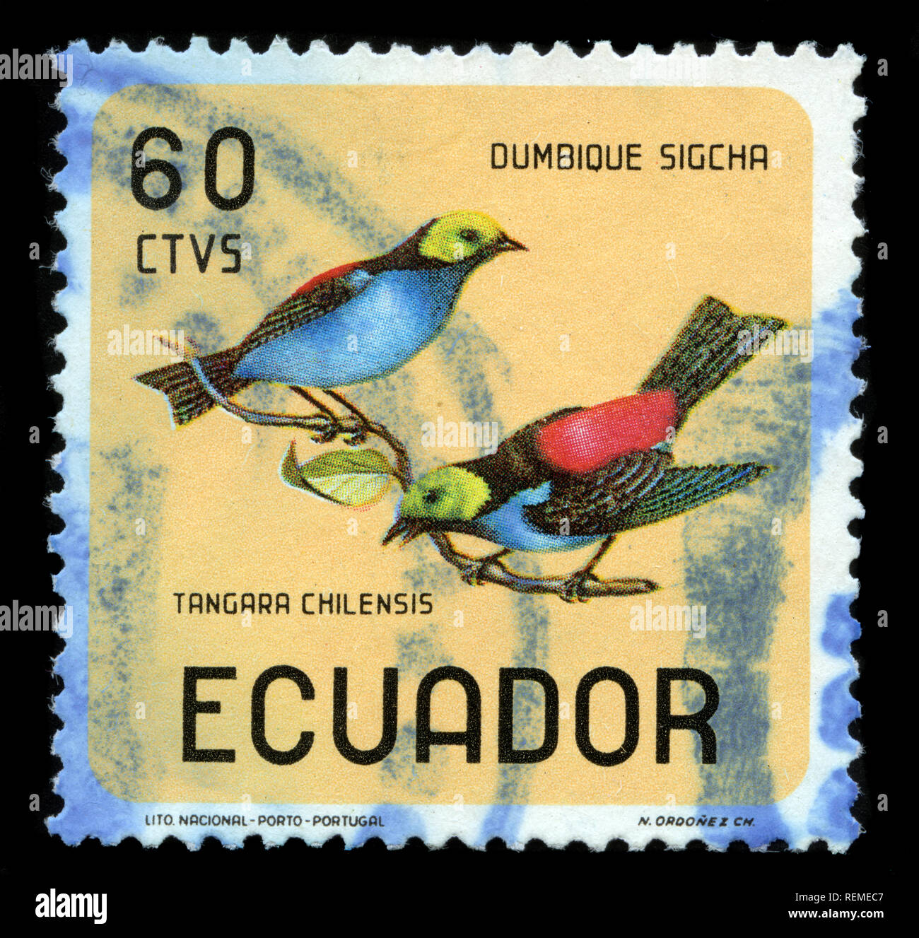 Postage stamp from Ecuador in the Birds series issued in 1966 Stock