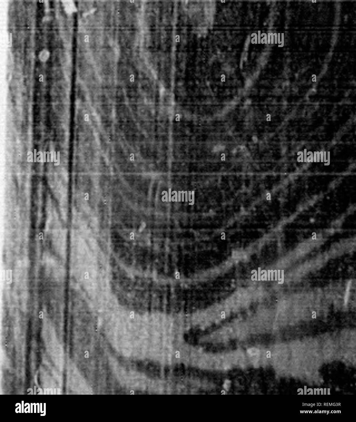 Klk Stock Photos Klk Stock Images Alamy