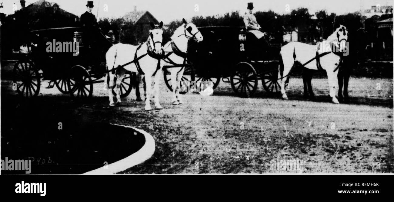 . Modern horse management [microform]. Horses; Horses; Chevaux; Chevaux. lis: ?fdÂ«-.. CANADIAN BKKD HOKSBS â Kinv;.&quot; a (ilea! Pri/p Winn-r hel-ini;!!!!! I') ihc D-jmini-m txpre!Â« C&quot; . T'Tnn'n Photo r I'ljIKiaith, Toronto ft, W'hilf Horst-s hrlonf^mij to Mr. j. Mc(-jrÂ«'gor, Brandon. Man,. Please note that these images are extracted from scanned page images that may have been digitally enhanced for readability - coloration and appearance of these illustrations may not perfectly resemble the original work.. Timmis, Reginald S. (Reginald Symonds), 1884-1968. London ; Toronto : Cassell Stock Photo