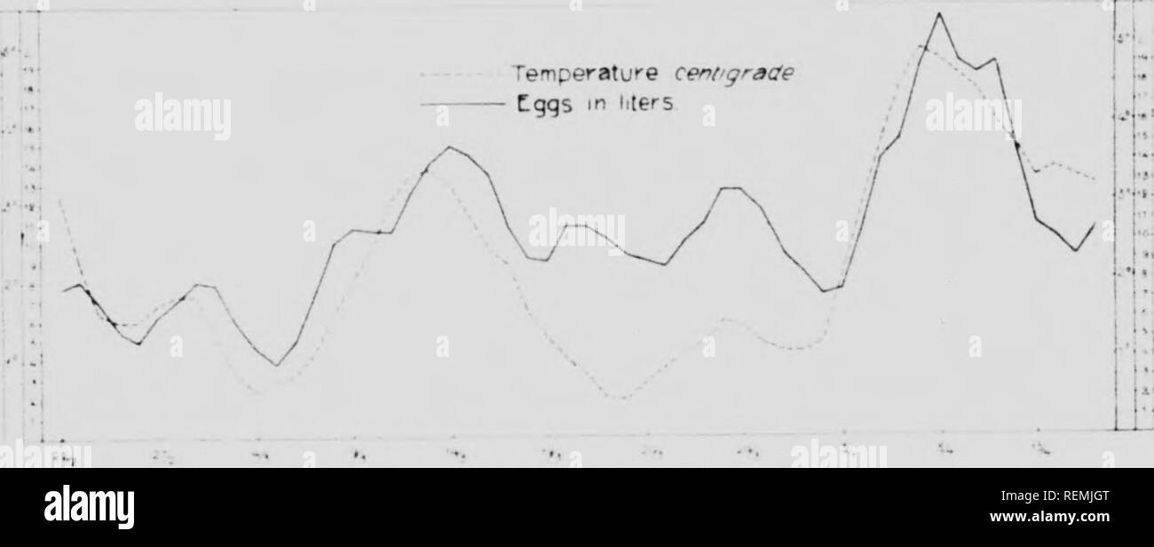 Lin fish hi hi-res stock photography and images - Alamy