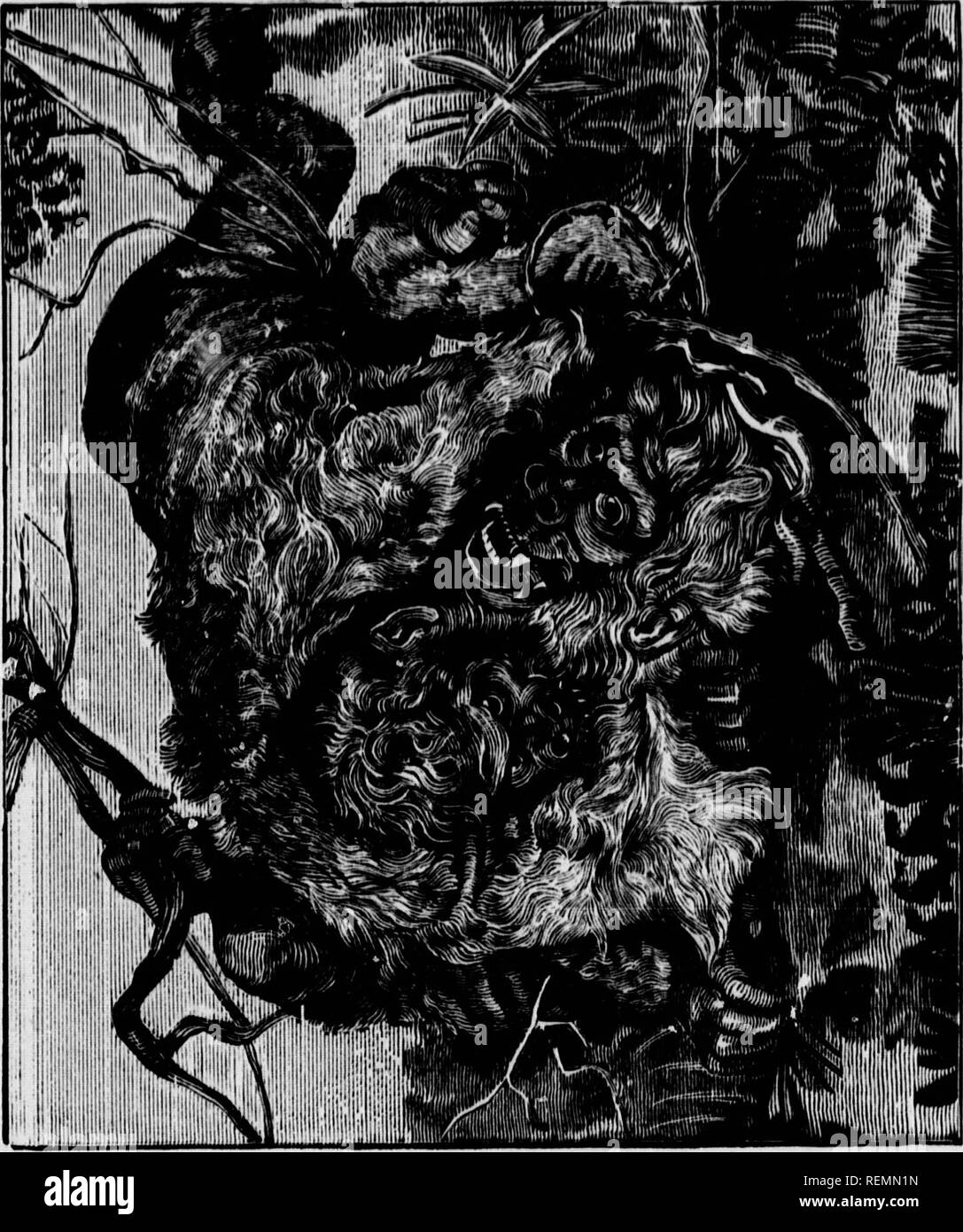 Gnashing of teeth Black and White Stock Photos & Images - Alamy