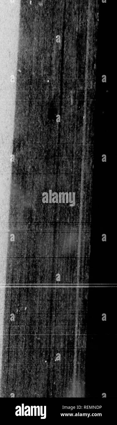 Mnir High Resolution Stock Photography And Images Alamy